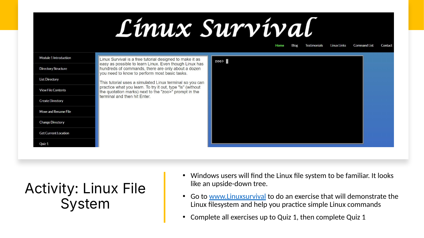 Existing slide 24: Activity, Linux File System. Students go to the Linux Survival site and work through a self-paced exercise practicing simple Linux commands.